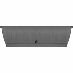 Sjlvvattnande planter Garden ID Antracitgr 60 cm