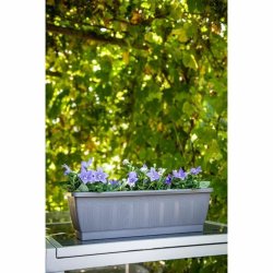 Sjlvvattnande planter Garden ID Antracitgr 60 cm