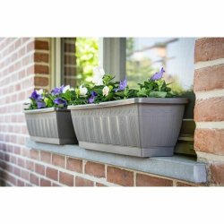 Sjlvvattnande planter Garden ID Antracitgr 60 cm