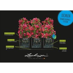 Sjlvvattnande blomkruka Lechuza Ljusgr 100 x 32,5 x 34,5 cm Re