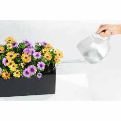Kruka Lechuza Brun Svart polypropen