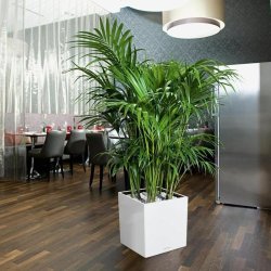 Sj�lvvattnande blomkruka Lechuza Vit 40 x 40 cm polypropen Plast