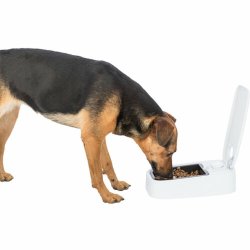 Matskl fr husdjur Trixie Vit Svart Plast 300 ml