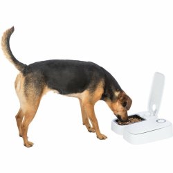 Automatisk matare Trixie Vit Svart Akryl Plast Automatisk matare Trixie Vit Svart Akryl Plast