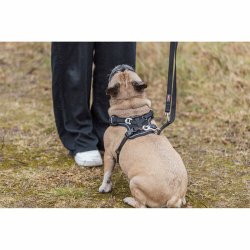 Hundsele Trixie Premium FlexMesh Svart M