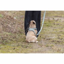 Hundsele Trixie Premium FlexMesh L