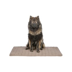 Luftsng Trixie Brun 120  80 CM Hund