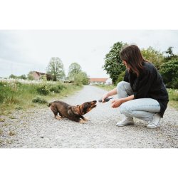 Hundleksak Hunter Nebraska Brun Ko