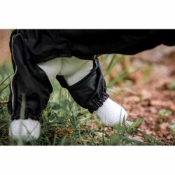 Regnrock fr hundar Kerbl M 40 cm Svart