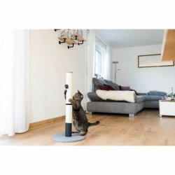 Klsbrda fr katter Kerbl