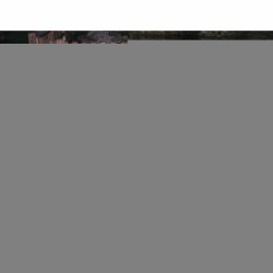 Bur Kerbl 120 x 59 cm Papp