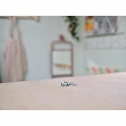 Pluggar och skruv Rapid M13 x 31 mm 10 antal