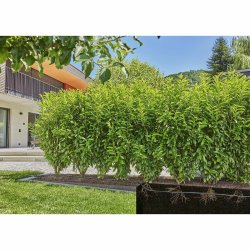 Droppbevattningssystem Gardena 13501-20 Droppbevattningssystem Gardena 13501-20