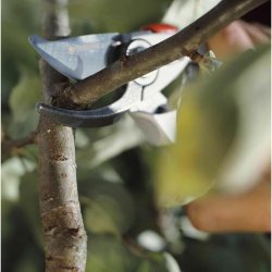 Sekatrer Gardena BP SIGHT 50 22 mm