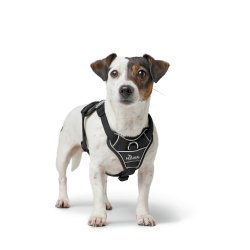 Hundsele Hunter DIVO UP Svart L/XL