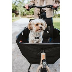 Hundsele Hunter DIVO UP Beige L