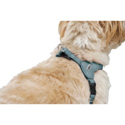 Hundsele Hunter SOHO MINI Bl XS
