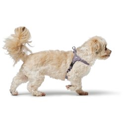 Hundsele Hunter SOHO MINI Lila XS