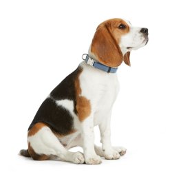 Hundhalsband Hunter VARIO BASIC Bl XL 45-65 cm