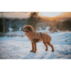 Djurklder Hunter PAXSON Brun Polyester