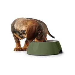 Hundmatare Hunter Grn 160 ml