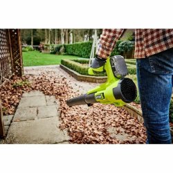 Bls Ryobi