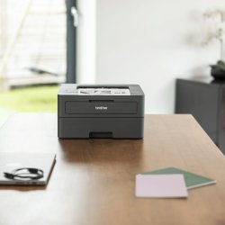 Laserskrivare Brother HL-L2402D