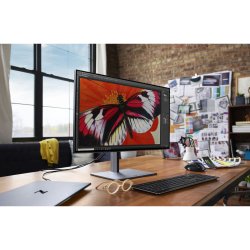 Mus HP 1D0K8AA Svart 1200 DPI