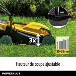 Grsklippare Powerplus POWEG62203 30 L 1000 W 230 V 32 cm 20-70