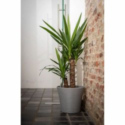 Sjlvvattnande blomkruka Garden ID Gr 40 cm