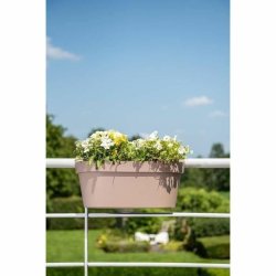 Sjlvvattnande planter Garden ID Beige-brun (taupe)