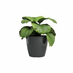 Kruka Artevasi SAN REMO Antracitgr  36 cm (4 Delar)