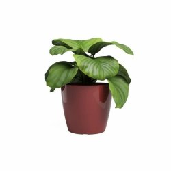 Kruka Artevasi SAN REMO  42 cm Rd (2 Delar)