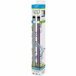 LED Ljus Ciano Cla20 1,5 W