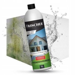 Fnsterdammsugare Frischer