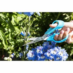 Sax Cellfast 21 cm Bl