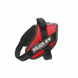 Hundsele Julius K9 IDC Rd