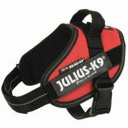Hundsele Julius K9 IDC Rd