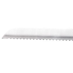 Brdkniv San Ignacio Expert SG41026 Rostfritt stl ABS 20 cm
