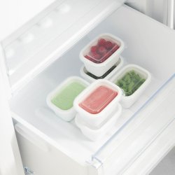 Cat Feeder Rotho Transparent (6 antal)