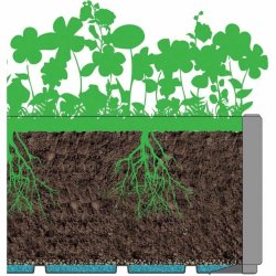 Kruka Starwax Ethica 80 cm