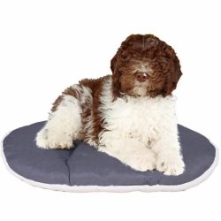 Hundsng Ferplast