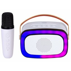 Hgtalare med Karaoke Mikrofon Trevi Trevi XR 8A01 MINI PARTY Vi
