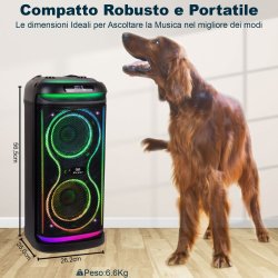 Brbar Hgtalare Trevi Trevi XF 650 KB