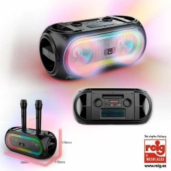 Brbar Bluetooth Hgtalare Reig