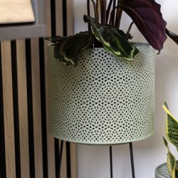 Krukvxt med stllning Vinthera Moa Grn Metall 22 x 22 x 58 cm