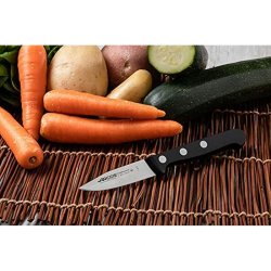 Skalkniv Arcos Universal Rostfritt stl Svart 7,5 cm