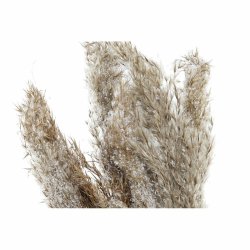 Dekorativ vxt DKD Home Decor PVC Fjdrar Naturell 35 x 25 x 55