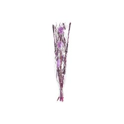 Bunt DKD Home Decor Rosa Lila Vit Torkad blomma (30 x 30 x 100 c