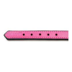 Hundhalsband Gloria Vadderad Fuchsia (55 x 2,5 cm)